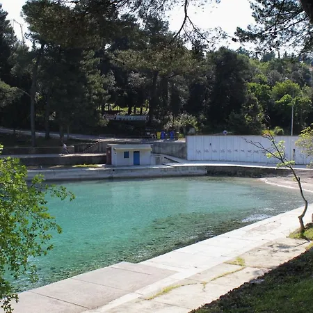 Family Friendly With A Swimming Pool Malinska, Krk - 19304 公寓 马林斯卡